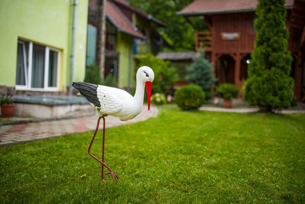 Pensiunea George Гура-Рыулуй Экстерьер фото